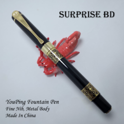 YouPing Fountain Pen