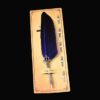 Feather-Fountain-Pen-Blue