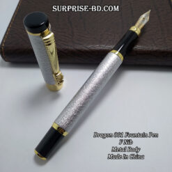 Dragon-801-Fountain-Pen-Silver-1